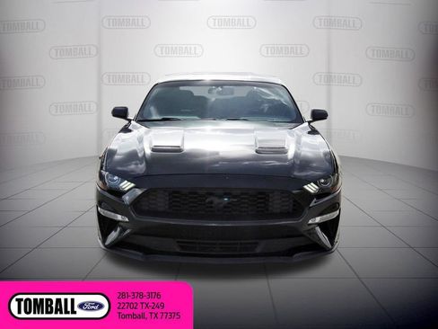 Used 2019 Ford Mustang Premium RWD image 2