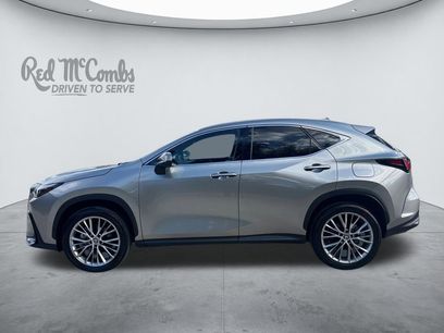 Used 2025 Lexus NX 350 AWD w/ Cold Area Package