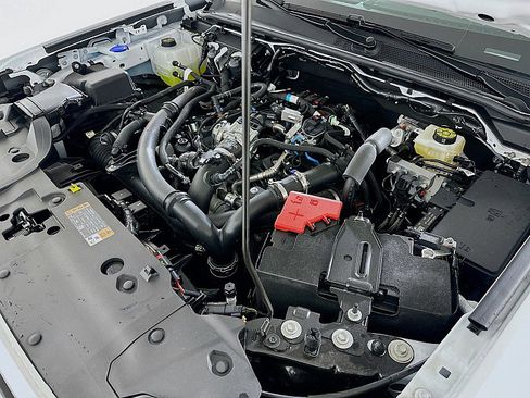 New 2025 Ford Ranger XLT w/ Equipment Group 301A High image 22