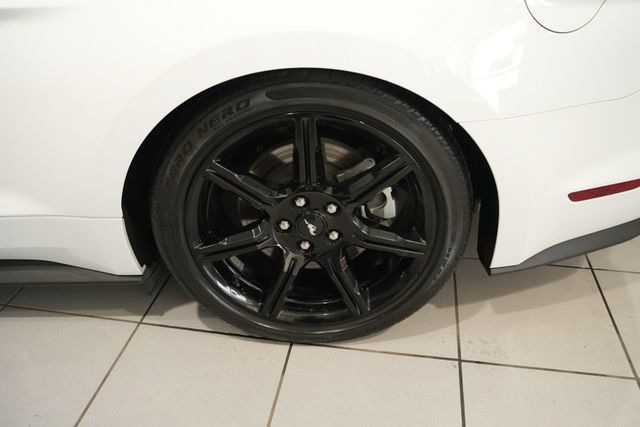 Used 2019 Ford Mustang GT Premium w/ Equipment Group 401A RWD image 10