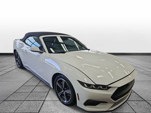 Used 2024 Ford Mustang Premium image 3