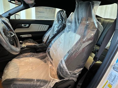 Used 2015 Ford Mustang 50 Years image 10