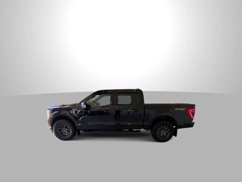 Used 2023 Ford F150 XLT w/ Equipment Group 302A High AWD/4WD image 5