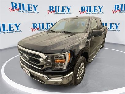 Certified 2022 Ford F150 XLT w/ Equipment Group 302A High