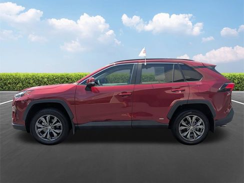 Used 2024 Toyota RAV4 XLE Premium w/ Weather Package AWD/4WD image 8
