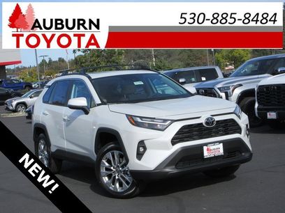 New 2025 Toyota RAV4 XLE Premium