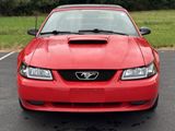 Used 2002 Ford Mustang GT image 4