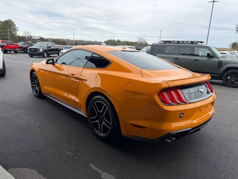 Used 2019 Ford Mustang Coupe w/ Equipment Group 101A image 4