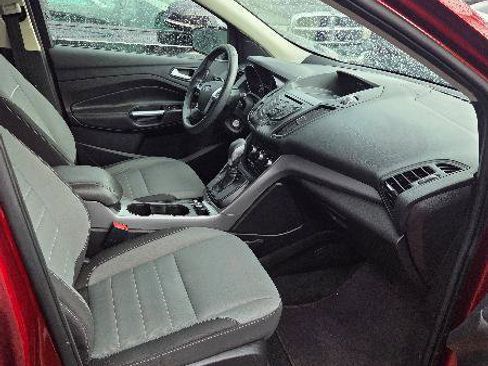 Used 2015 Ford Escape SE FWD image 10