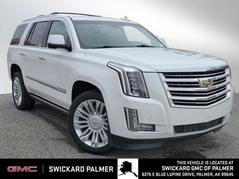 Used 2020 Cadillac Escalade Platinum AWD/4WD image 1