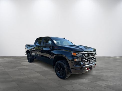 Used 2022 Chevrolet Silverado 1500 Custom Trail Boss AWD/4WD image 1