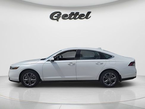 Used 2025 Honda Accord EX-L image 2