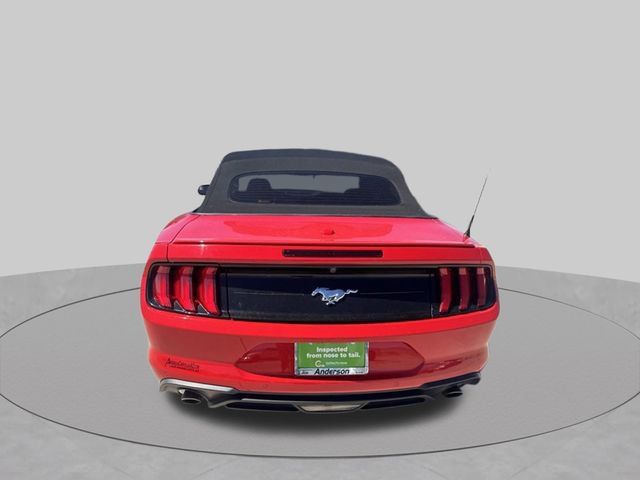 Used 2019 Ford Mustang Premium RWD image 4
