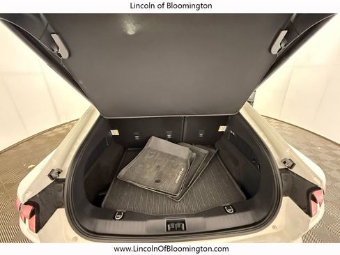 Used 2024 Ford Mustang Mach-E GT image 19