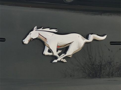 Used 2019 Ford Mustang Coupe w/ Equipment Group 101A image 7