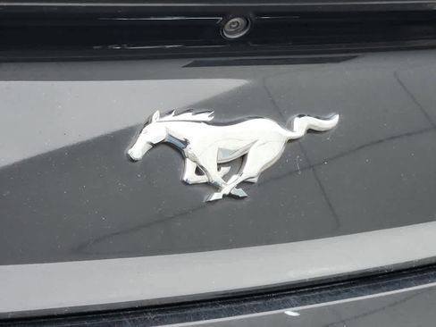 Used 2015 Ford Mustang EcoBoost image 19