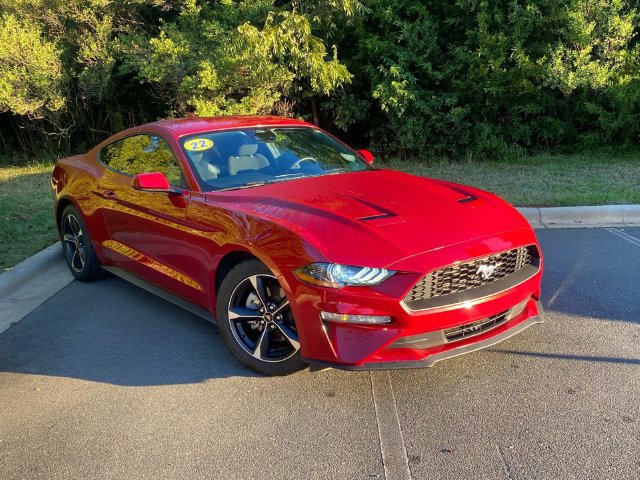 Used 2022 Ford Mustang Coupe w/ Equipment Group 101A RWD image 1