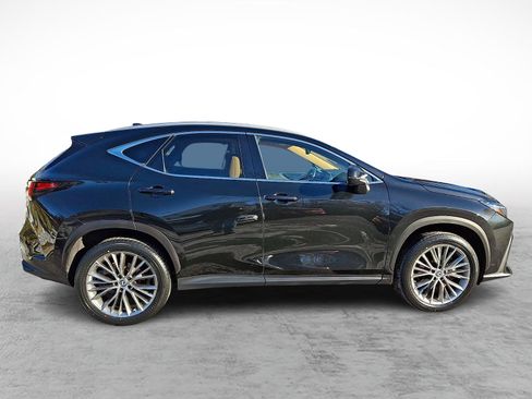 Certified 2022 Lexus NX 350h Premium image 7
