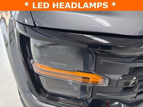 New 2025 Ford F150 XLT w/ Equipment Group 302A MID image 41