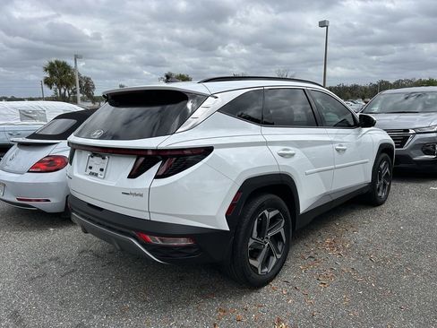 Used 2024 Hyundai Tucson Limited image 2