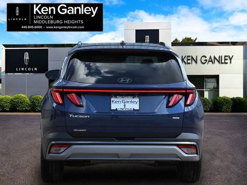 Used 2025 Hyundai Tucson Limited AWD/4WD image 6