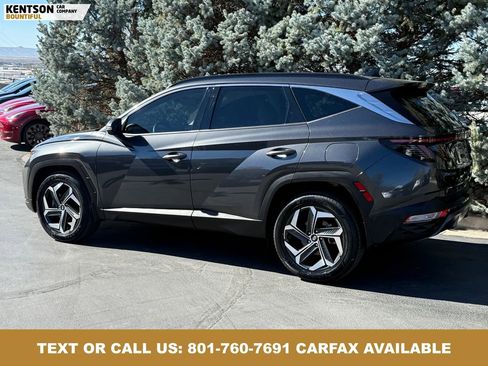 Used 2023 Hyundai Tucson Limited image 5