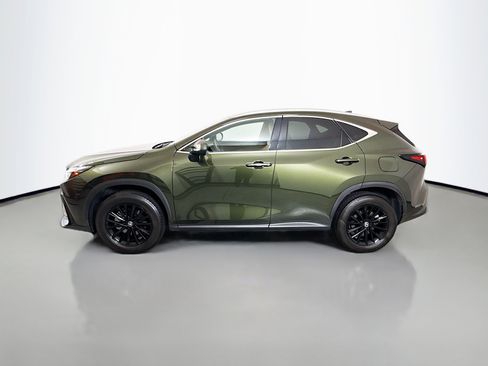 Used 2025 Lexus NX 350 AWD w/ Cold Area Package image 4