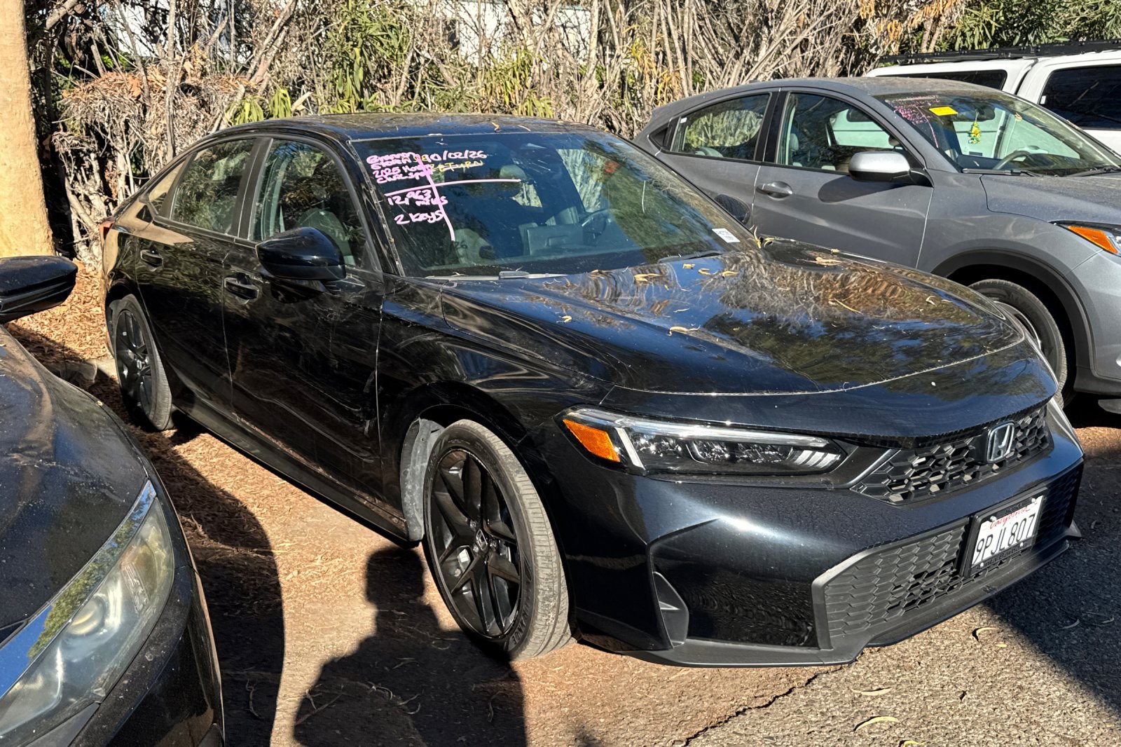 Used 2025 Honda Civic Sport image 4
