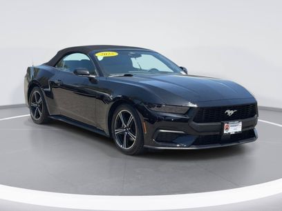 Used 2025 Ford Mustang Convertible