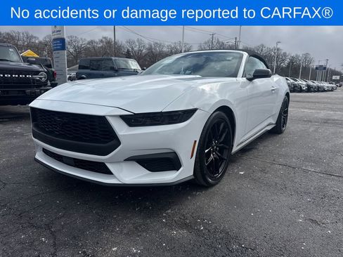 Used 2025 Ford Mustang Premium image 2