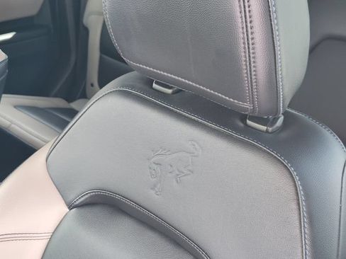 Used 2024 Ford Bronco Wildtrak AWD/4WD image 16