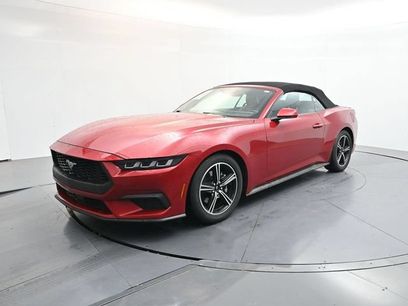 Used 2024 Ford Mustang Premium