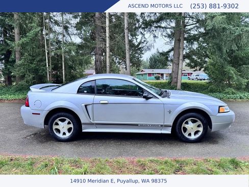 Used 2000 Ford Mustang Coupe image 6