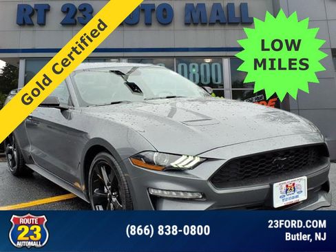 Certified 2022 Ford Mustang Premium w/ Equipment Group 201A image 1