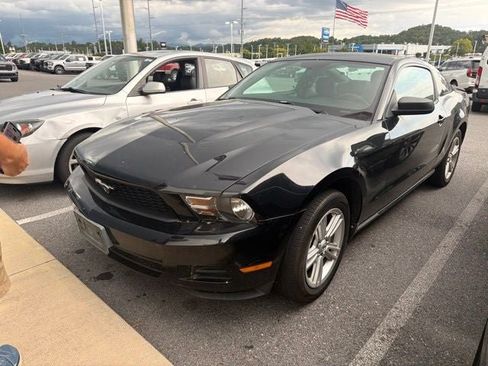 Used 2010 Ford Mustang Coupe RWD image 3