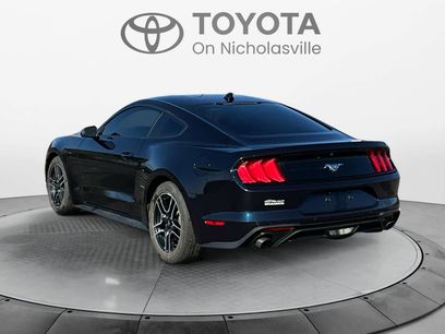 Used 2021 Ford Mustang EcoBoost w/ Equipment Group 101A