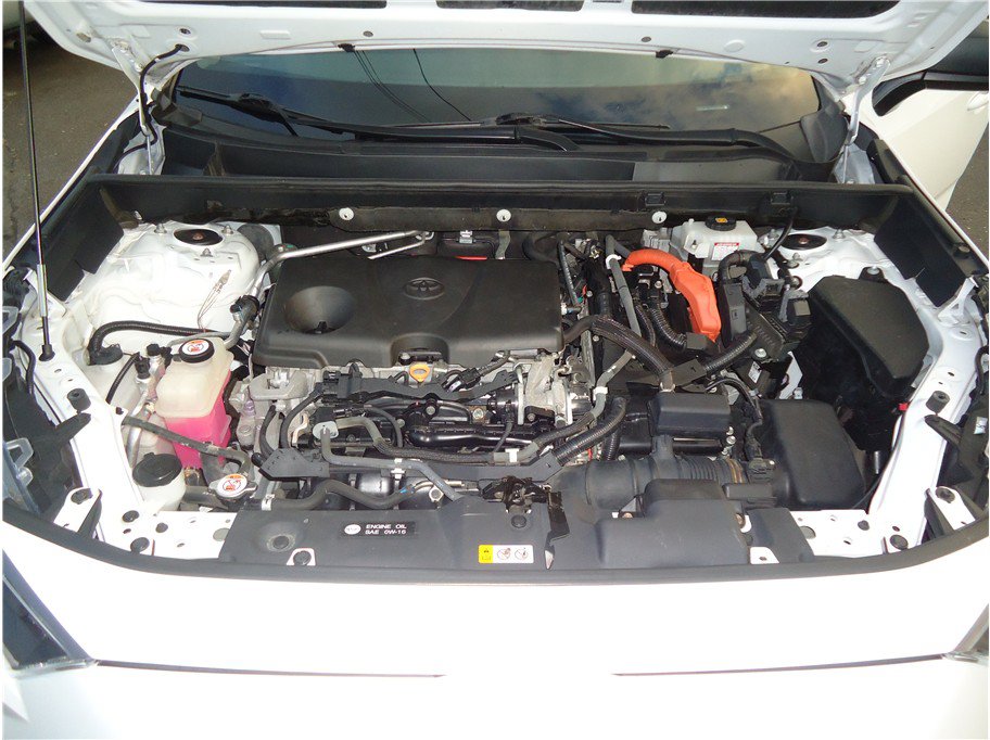 Used 2019 Toyota RAV4 LE w/ Carpet Mat Package AWD/4WD image 34