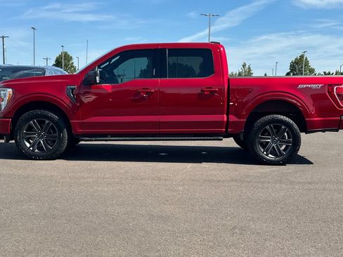 Used 2021 Ford F150 XLT w/ Equipment Group 302A High AWD/4WD image 7