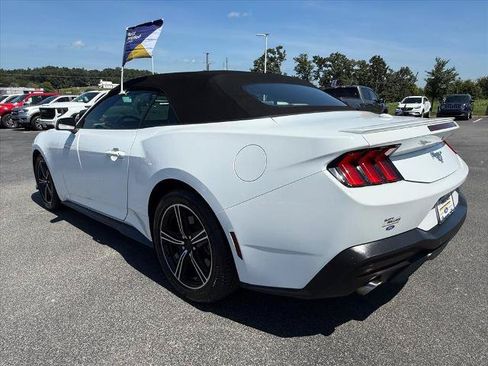 Certified 2024 Ford Mustang Premium RWD image 5