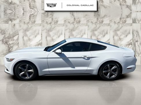 Used 2015 Ford Mustang Coupe w/ Equipment Group 051A RWD image 2