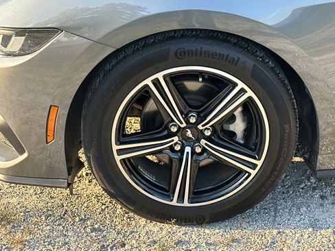Used 2025 Ford Mustang Premium RWD image 11
