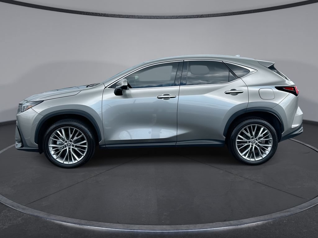 Certified 2025 Lexus NX 350 AWD w/ Cold Area Package image 15