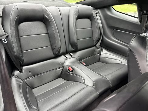 Used 2019 Ford Mustang Premium w/ Equipment Group 201A RWD image 18