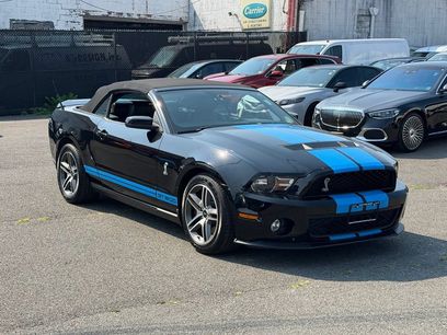 Used 2010 Ford Mustang Shelby GT500