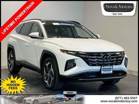 Used 2023 Hyundai Tucson Limited AWD/4WD image 1
