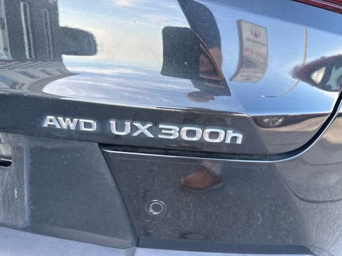 Used 2025 Lexus UX 300h AWD w/ Accessory Package (Z1) image 6