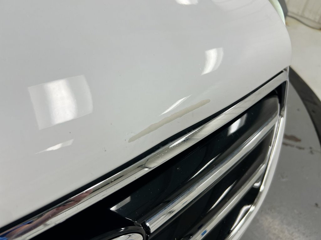 Used 2019 Ford Escape SE FWD image 29