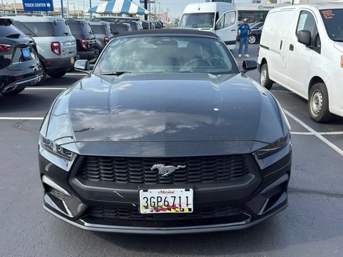 Used 2025 Ford Mustang Premium RWD image 3