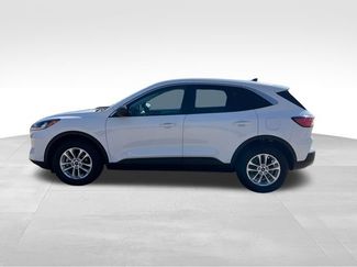 Used 2022 Ford Escape SE AWD/4WD video 3