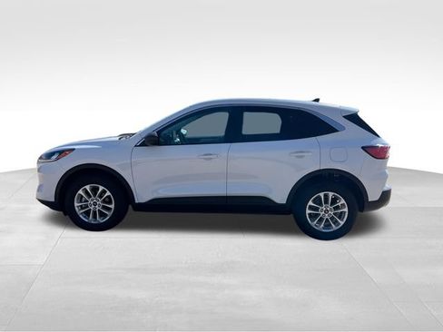 Used 2022 Ford Escape SE AWD/4WD image 3